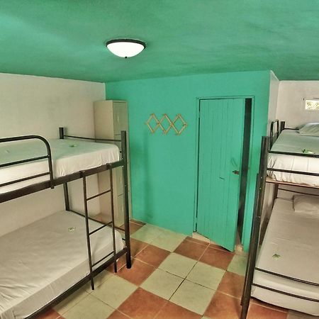 Blue Iguana Hotel Sámara Екстериор снимка
