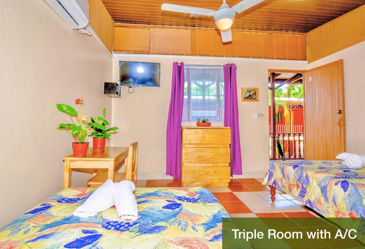 Blue Iguana Hotel Sámara Екстериор снимка