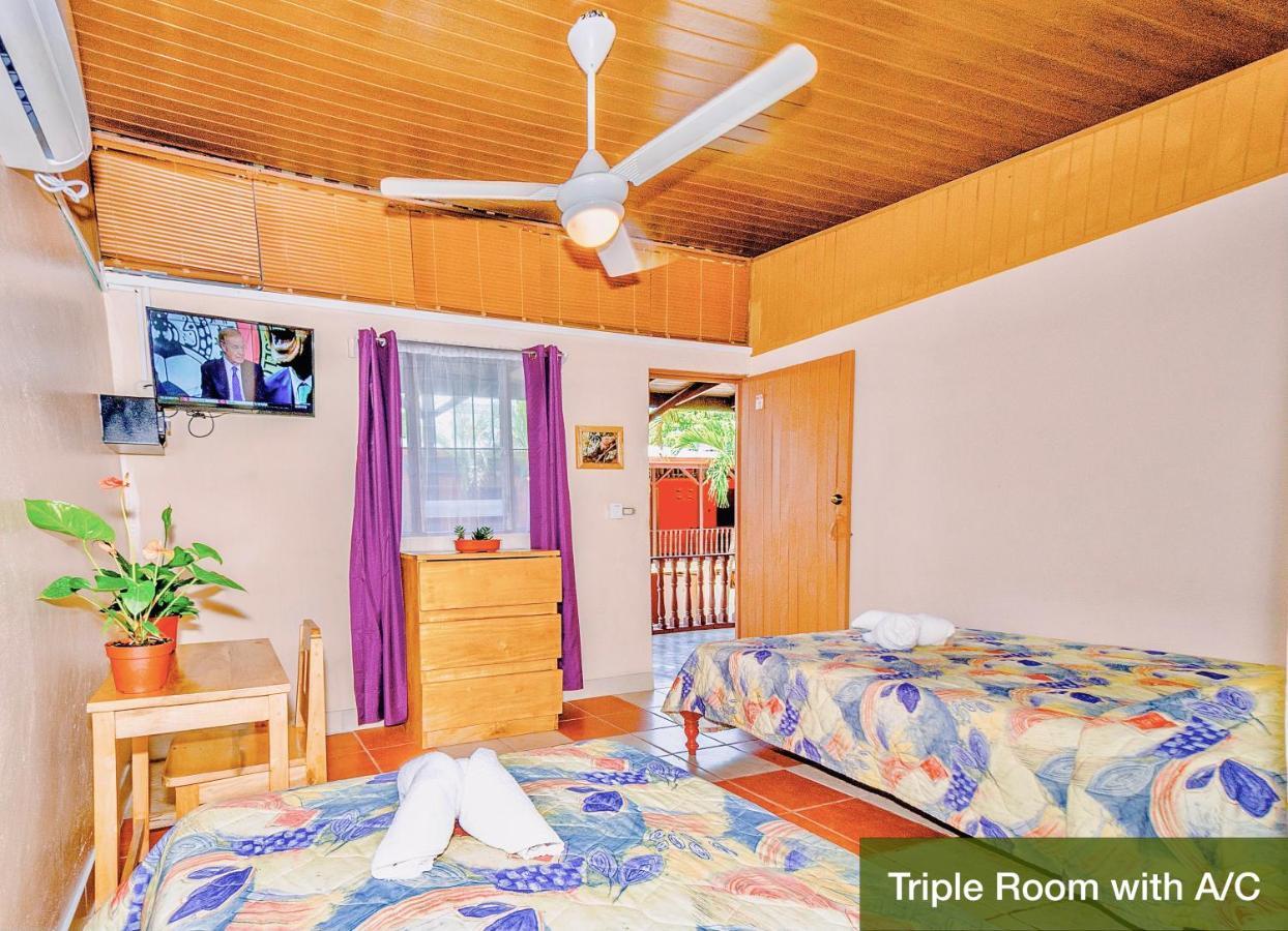 Blue Iguana Hotel Sámara Екстериор снимка