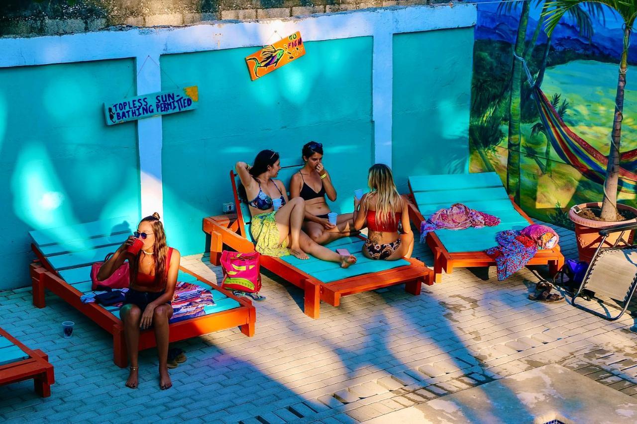 Blue Iguana Hotel Sámara Екстериор снимка