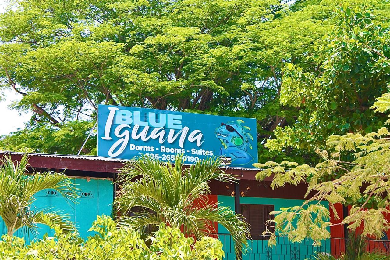Blue Iguana Hotel Sámara Екстериор снимка
