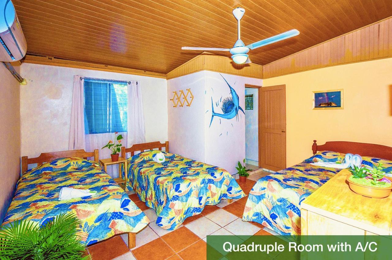 Blue Iguana Hotel Sámara Екстериор снимка