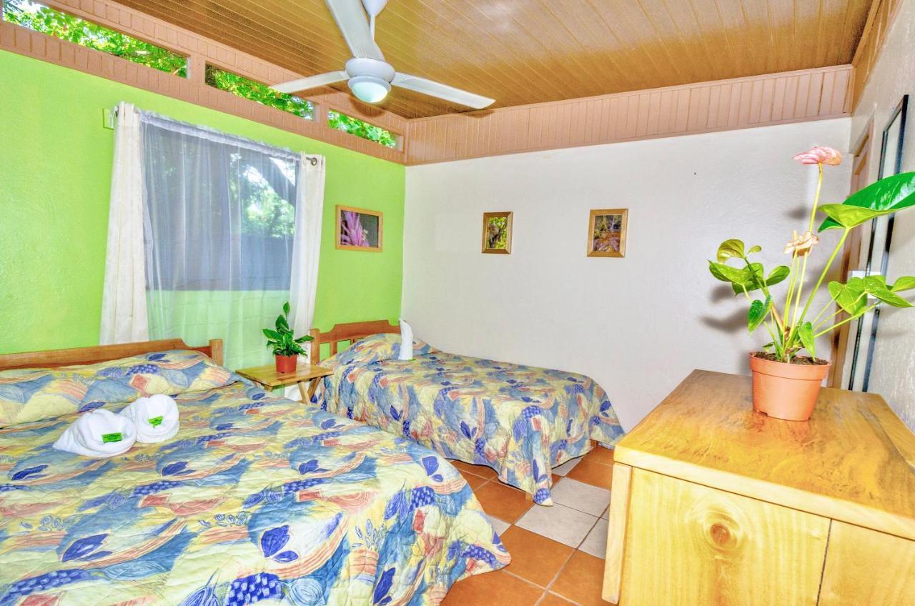 Blue Iguana Hotel Sámara Екстериор снимка