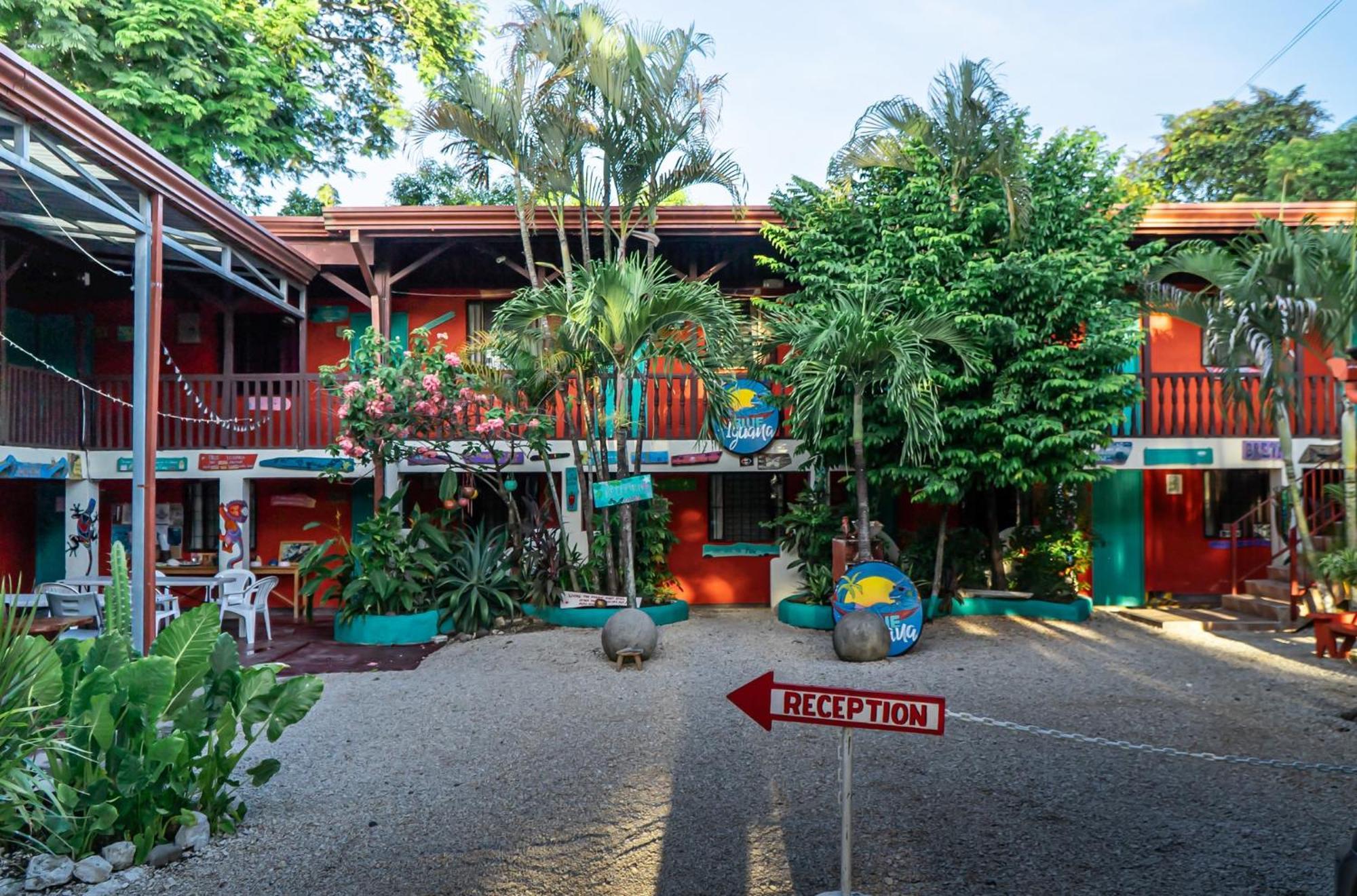 Blue Iguana Hotel Sámara Екстериор снимка