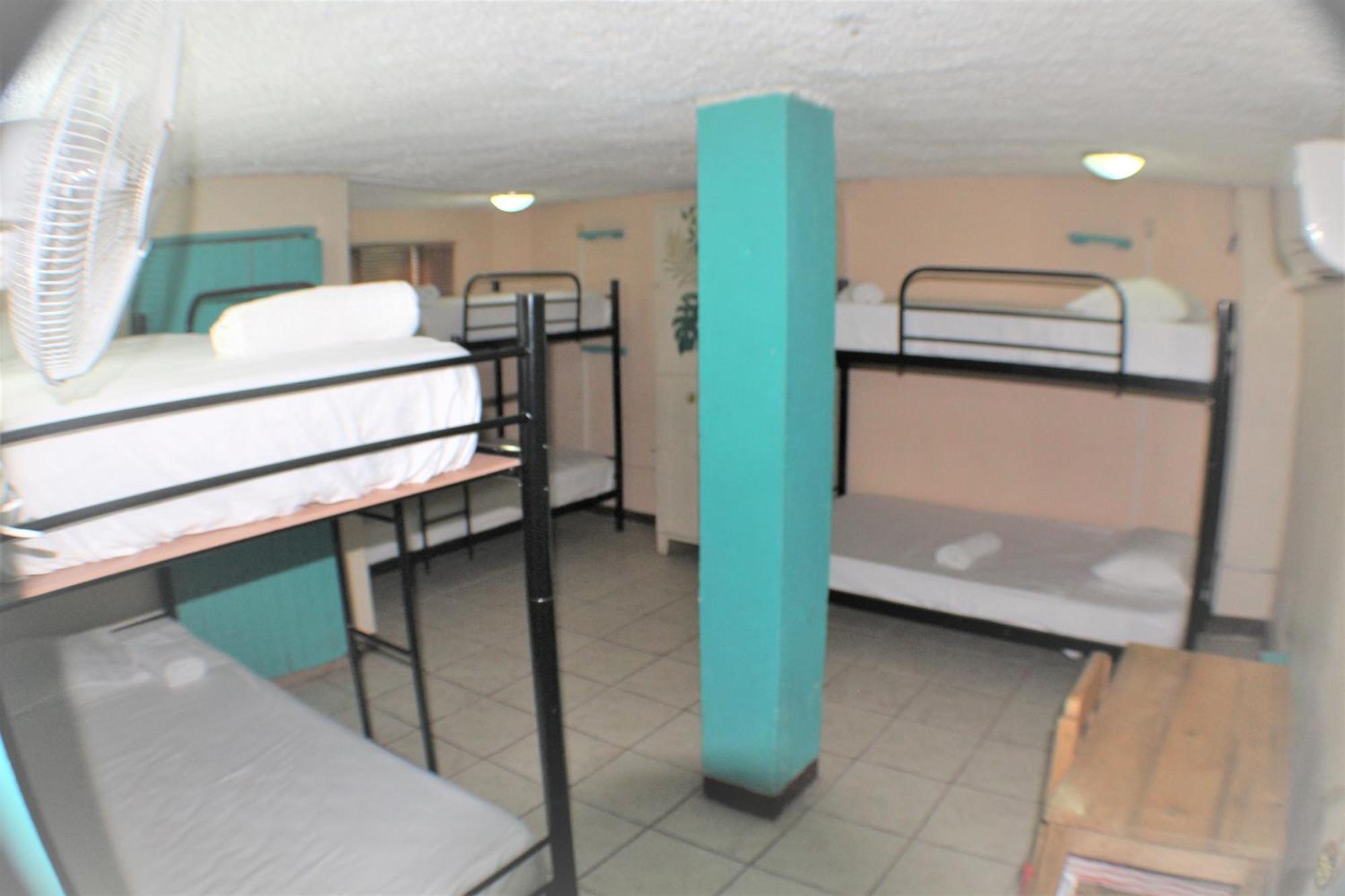 Blue Iguana Hotel Sámara Екстериор снимка